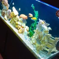 آکواریوم شیشه خم k1200