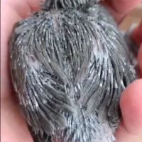 کوتوله رنگ خاص