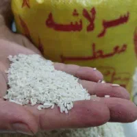 برنج سرلاشه ایرانی شمال