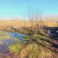 زمین-با-مجوز-مرغ-گوشتی-30-هزار