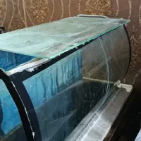 آکواریوم شیشه خم