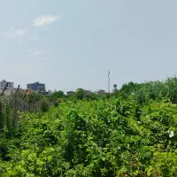 زمین-دو-نبش-واقع-در-کمربندی-غربی