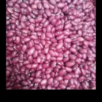 لوبیا چیتی قرمز نقد درمحل|خوردنی و آشامیدنی|سجاس رود, |دیوار