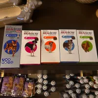 براوکتو گربه و سگ