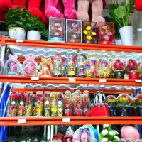 انواع کادویی در زابل