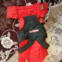 آغوشی کودک کاملا سالم در حد نو