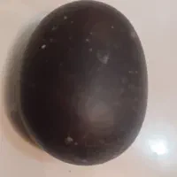سنگ پارامغناطیس