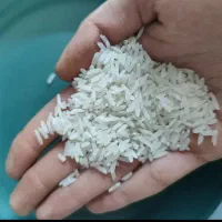 برنج خوشپخت عطری(پرمحصول)