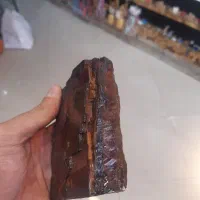 یک قطعه چوب سنگ( فسیل چوب)