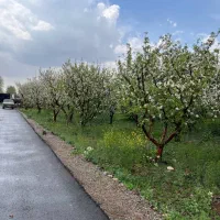 300متر-باغچه-شهرکی