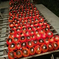 آشپزی مراسم ومیهمانی|خدمات پذیرایی، مراسم|بروجرد, |دیوار