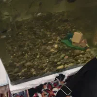 فروش آکواریوم