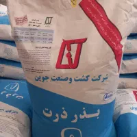 توزیع سراسری بذرذرت علوفه ای|عمدهفروشی|مشهد, شهرک امام هادی (شهرک غرب)|دیوار