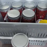 ترشی شمالی|خوردنی و آشامیدنی|مشهد, جنت|دیوار