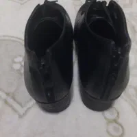 کقش زناته|کیف، کفش، کمربند|اراک, |دیوار