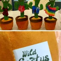 کاکتوس اورجینال اصلی فارسی خوان|اسباببازی|قم, شهرک سازمان آب|دیوار