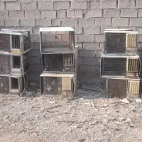 تهویه فروش & خریدار انواع کولر سوخته و نشتی دار