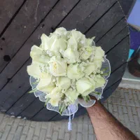 گلفروشی|گل و گیاه طبیعی|اهواز, گلستان|دیوار