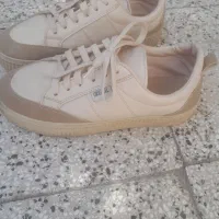 کفش|کیف، کفش، کمربند|نیشابور, مازول|دیوار