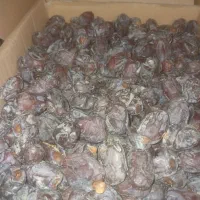 فروش خرما کلوته