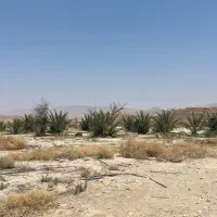 فروش-19هکتارزمین-زراعتی-سنددارواقع-در-درز-و-سایبان