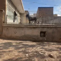 باغ پیشاهنگی
