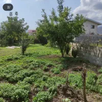 زمین مسکونی سند تک برگ ماسال  ۴۴۰ متر ‌اولسبلنگا