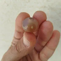 مهره کهنه گبری سوسنی ( کبود )