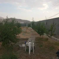 فروش/معاوضه/اقساط/گلخانه فعال،باغ و استخر۳۰۰۰متری|فروش دفتر صنعتی، کشاورزی، تجاری|کرمانشاه, |دیوار
