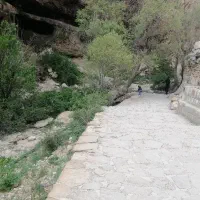 گردشگری و تفریحی