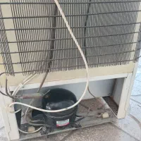 یک عدد یخچال و یک عدد فریزر|یخچال و فریزر|شیراز, شهرک والفجر|دیوار