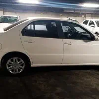 دنا معمولی سالم و خانگی