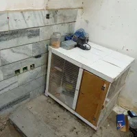 جفتگاه کفتر و طوطی و عروس|لوازم جانبی حیوانات|بیرجند, |دیوار