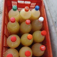 اب غوره طبیعی
