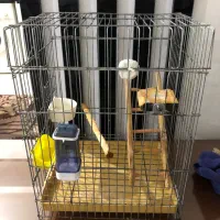 قفس کاسکویی