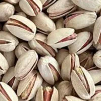 پسته خشک شما را خریداریم