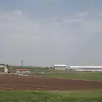 اجاره مرغداری تخمگذار ۱۲۱هزار قطعه فول اتوماتیک