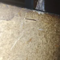 دلاور|جاکفشی، کمد، دراور|کرج, شهرک سهرابیه|دیوار