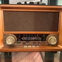 رادیو اسپیکر