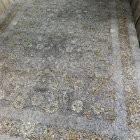 چ ش ن و ا ر ه فرش ۷۰۰شانه سقز|فرش|مهاباد (آذربایجان غربی), |دیوار