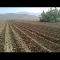 زمین در علی آباد گونه