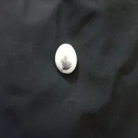 شجرتک درخت