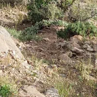 فروش-امتیاز-زمین-های-دادگستری-زندانها