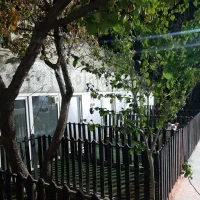 پانسیون سگ و گربه VIP|خدمات پیشه و مهارت|شهریار, شهریار|دیوار