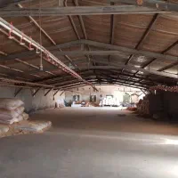 دامداری و ۳۰هکتار زمین کشاورزی دیم|فروش دفتر صنعتی، کشاورزی، تجاری|روانسر, |دیوار