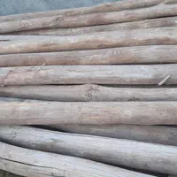 خریدهرنوع چوب|خدمات باغبانی و درختکاری|نیشابور, شهرک رسولی|دیوار