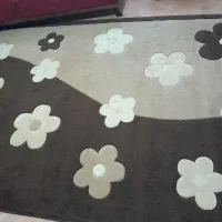 فرش ۹متری و قالیچه ۲متری ۸۰۰تومن