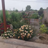 باغچه-نیمه-کاره-ورامین-مخصوص-تفریح-و-سرمایع-گذاری