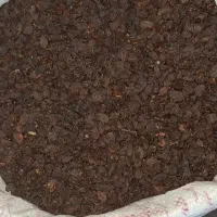 کشمش|خوردنی و آشامیدنی|شیراز, گویم|دیوار