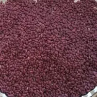 لوبیاقرمز وسفید